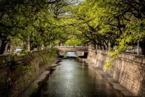 Clínicas de ojos en La Cañada