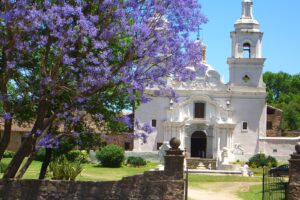 Clínicas de ojos en Jesús María