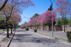 Clínicas de ojos en San Lorenzo